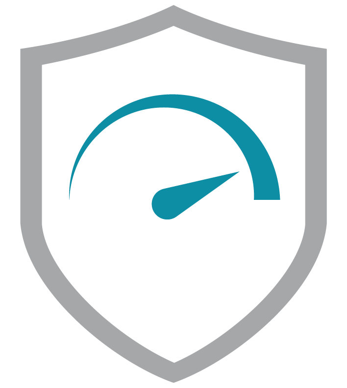 virtual secure network